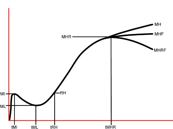 torque measurement