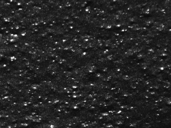carbon black dispersion