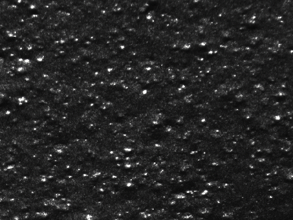 Carbon Black Dispersion